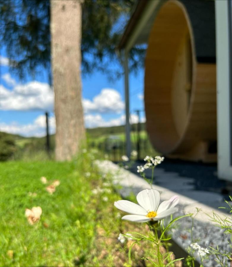 Chalet Panor'Anna St. Vith Bagian luar foto